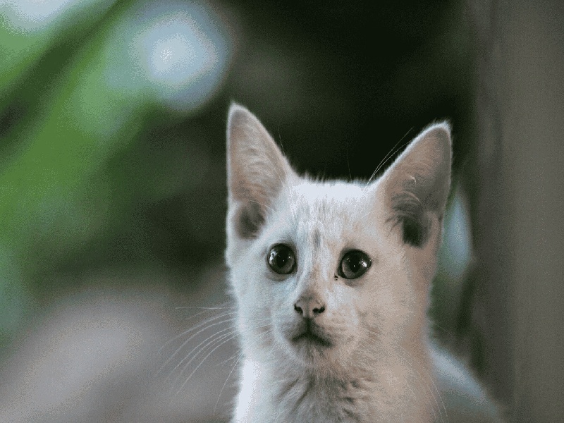 西安25岁去试管（试管婴儿疗法费用）